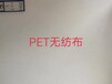 南通PET无纺布袋厂家报价