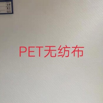溫州PET無紡布袋