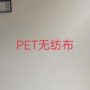 PET无纺布袋生产厂家