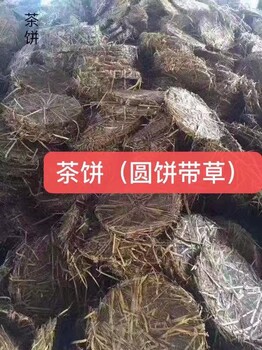 大连茶粕供货商茶粕粉