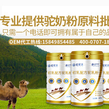 初乳骆驼奶—骆驼奶—特色乳骆驼奶