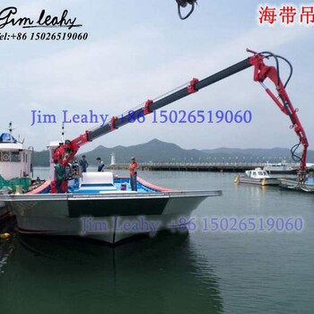 海帶吊生產(chǎn)廠家吊海帶起重機JimLeahy