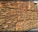 白城工程用木方可定制尺寸质量保证图片