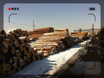 松原木材报价一览表四面见线图片3