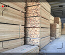 白城杨木木方生产厂家四面见线图片