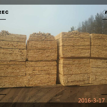 葫芦岛建筑木材可定制尺寸招全国代理