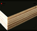 铁岭建筑木模板胶合板批发木材批发市场
