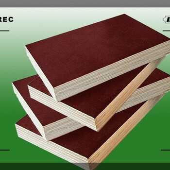 葫芦岛松木模板模板支撑质量