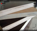 葫芦岛建筑木模板建筑施工木模板质量保证