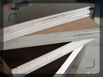 丹东松木模板模板支撑质量图片1