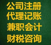 常规财税咨询明细账图片2