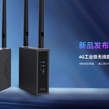 蒲公英4G工业级路由器R300图片