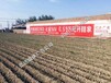 中国人寿保险北京墙体广告亿达广告心致远传天下