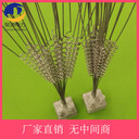 驅(qū)鳥刺陽臺防鳥刺生產(chǎn)廠家