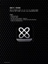 美国高峰封闭式垂直线性音柱扬声器CPL8L,CPL12L图片