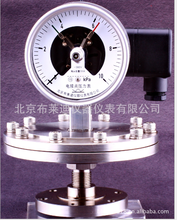 布莱迪防爆感应式隔膜压力表PXG-100.AO环保行业