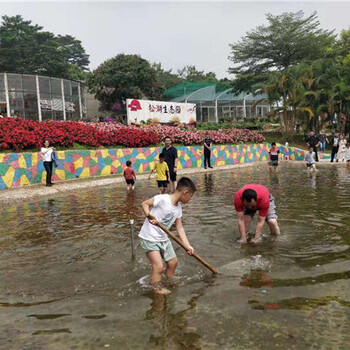 深圳附近适合野炊的地方清明踏青就选松湖农家乐