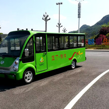 四川燃油观光车-四川内燃观光车