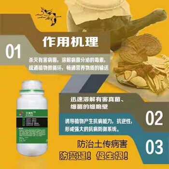 百香果种苗繁殖技术指导