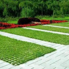 宜昌园林绿化工程