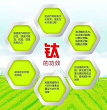 促根养根冲施肥/碧格根倍多图片