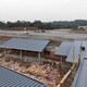 新乡65-400型铝镁锰屋面板供货商图