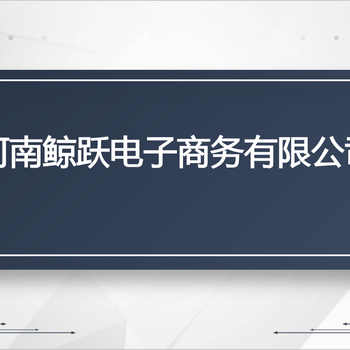 河南鲸跃shopify跨境电商立站支持实地考察