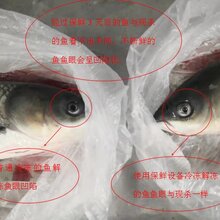 立翔冷冻解冻静电保鲜机图片
