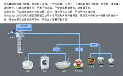 图片0