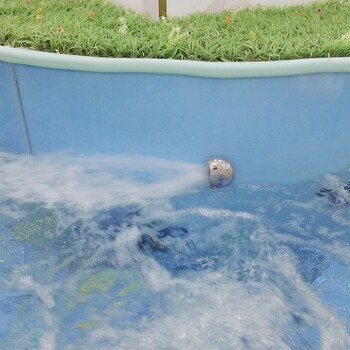 芜湖婴儿游泳池安全可靠钢化玻璃婴儿游泳池厂家 价格优惠