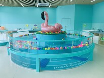扬州婴儿游泳池总代钢化玻璃婴儿游泳池厂家 价格优惠图片0