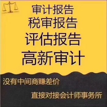 双软企业认定审计报告—在线咨询-南山区双软企业认定