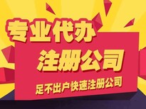 虎门办理营业执照、厚街记账报税、滨海湾新区注册公司图片2