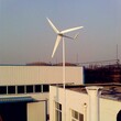 安远晟成景观风力发电机晟成厂家供应500w小型风力发电机图片