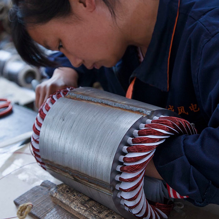 东昌晟成 微型风力发电机 行业技术 500w小型风力发电机