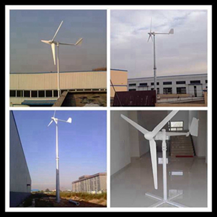 泗洪1kw微型风力发电机  1000w风力发电机