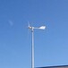 龙山晟成家用风力发电机48V放心用2kw风力发电机