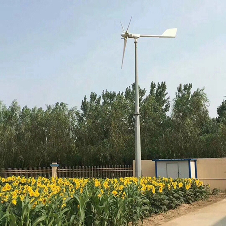 东安晟成晟成风力发电机种类多型号3kw风力发电机