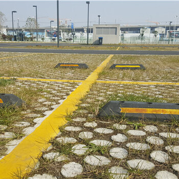 三门峡透水地坪高承载植草地坪模具厂家直供江苏撰石景观