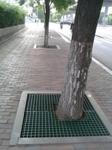 市政绿化玻璃钢树篦子
