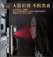 黑狐利指纹锁图片