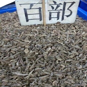 安順百部種苗批發(fā)