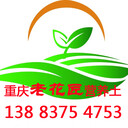 成都輕質(zhì)土育苗基質(zhì)腐殖土有機(jī)肥營(yíng)養(yǎng)土草炭土廠家批發(fā)價(jià)格