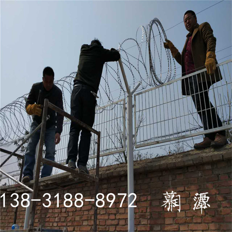 上海戒毒所铁丝网-刀刺隔离网