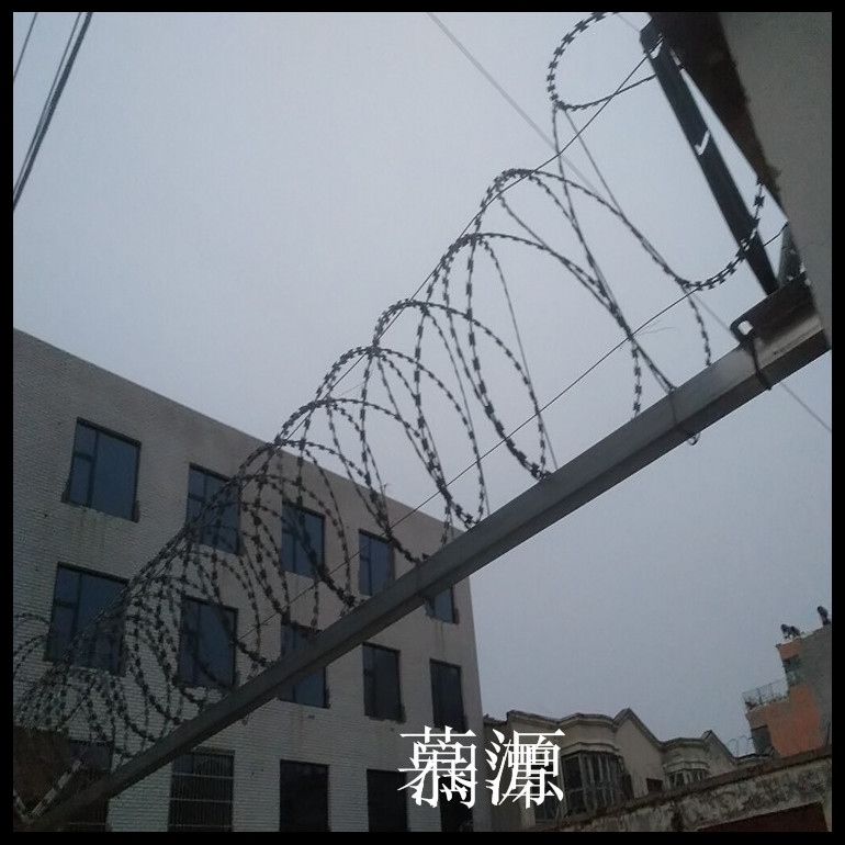 墨绿色刀刺网-刺丝滚笼