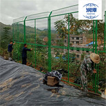福建洗煤厂围栏-填埋场围栏网图片3