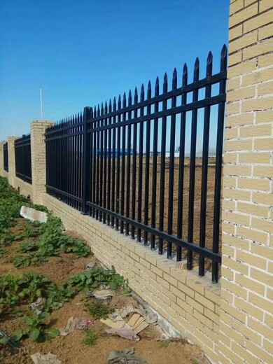 别墅围栏网-双向防攀爬锌钢护栏-蓝白色方管围栏