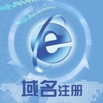 深圳中文域名注册，纯中文.网址域名解析注册服务