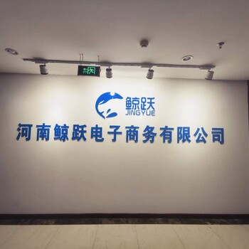 郑州跨境电商无货源广告优化欢迎实地考察
