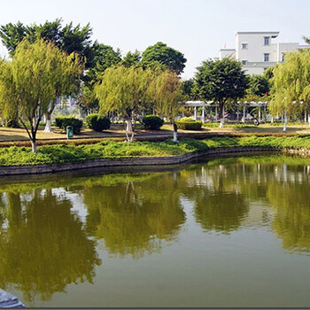 園林景觀設(shè)計(jì)室內(nèi)景觀園林景觀庭院綠化市政工程道路綠化設(shè)計(jì)施工